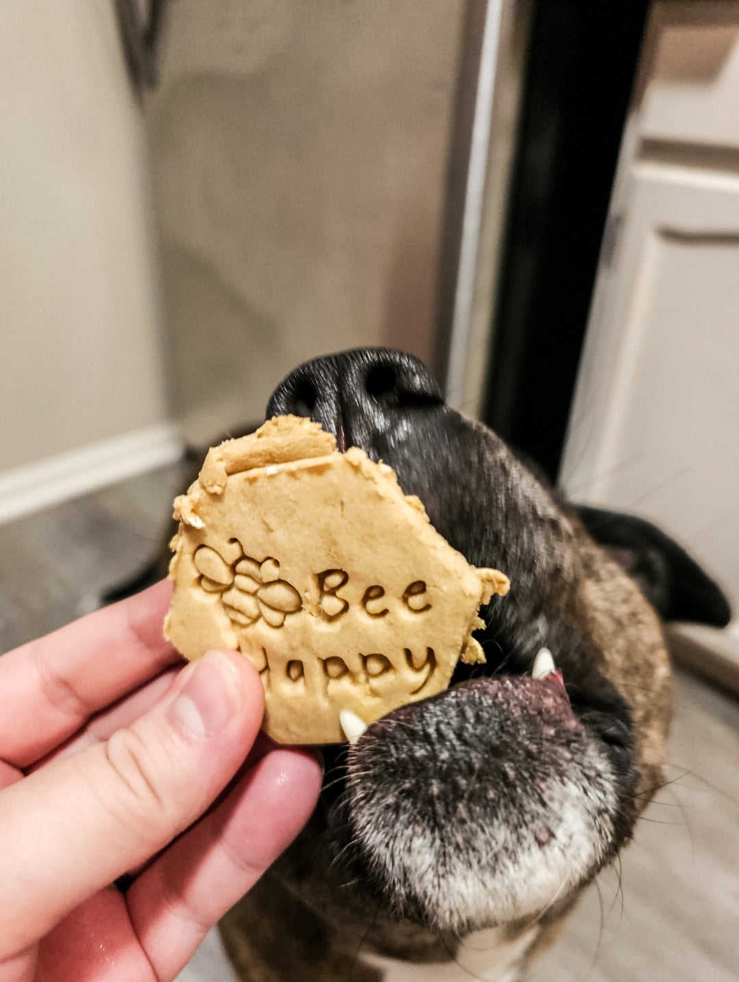 Bee Happy / 8 count