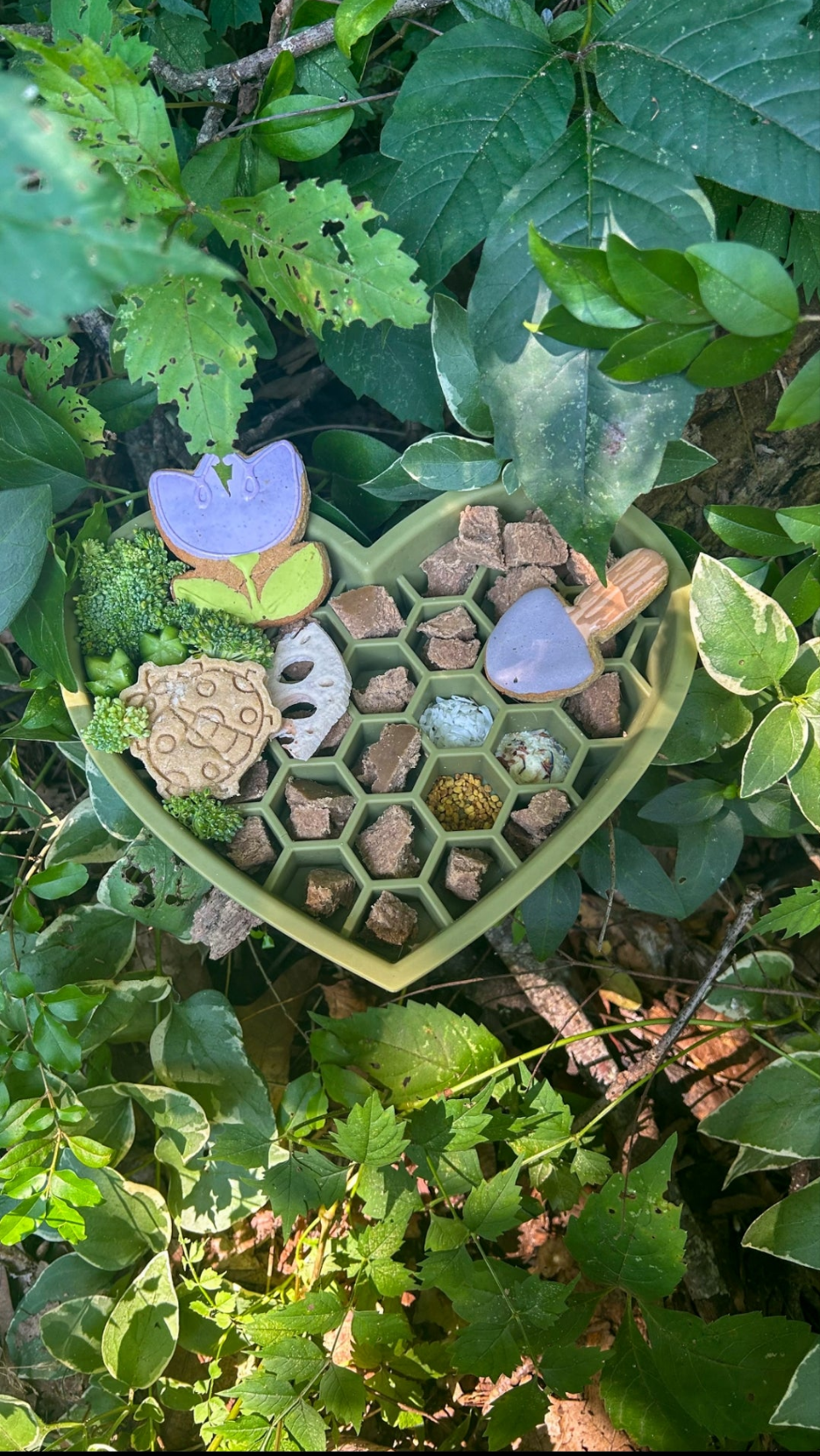 Bugs Life 🐛 / 8 count