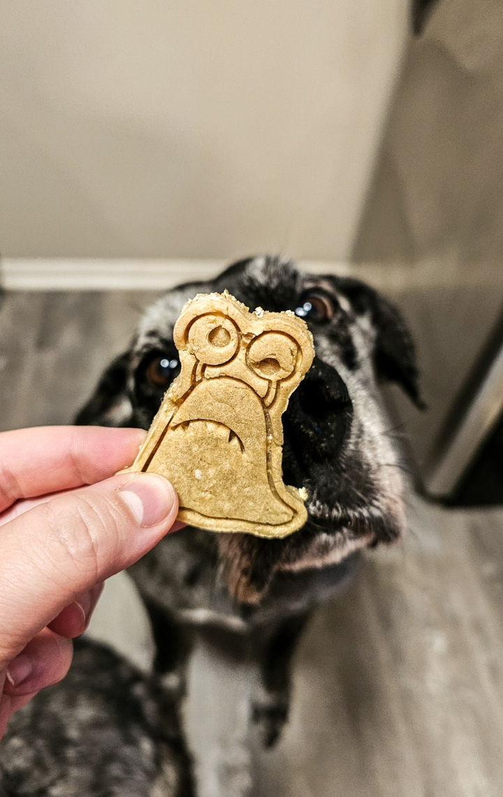 Scary Monsters 👾 / 8 count