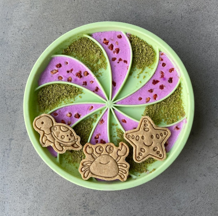 Ocean Fun 🦈 / 8 count