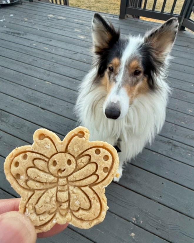 Bugs Life 🐛 / 8 count