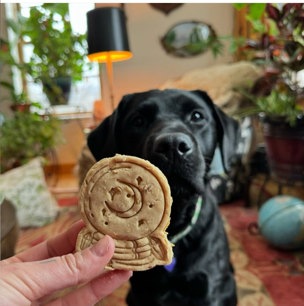 Fairytale Magic 🔮 / 5 count