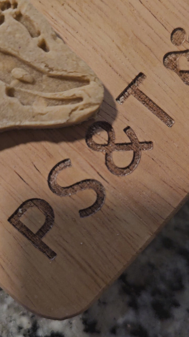 Dino Dig 🦕 / 8 count