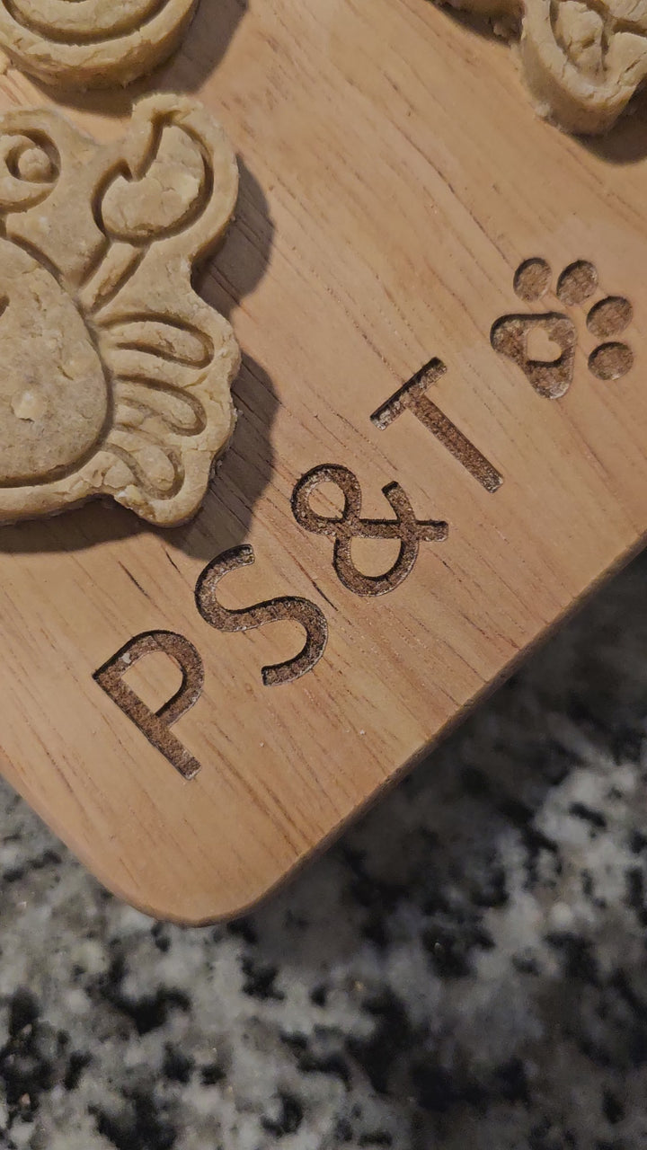 Ocean Fun 🦈 / 8 count