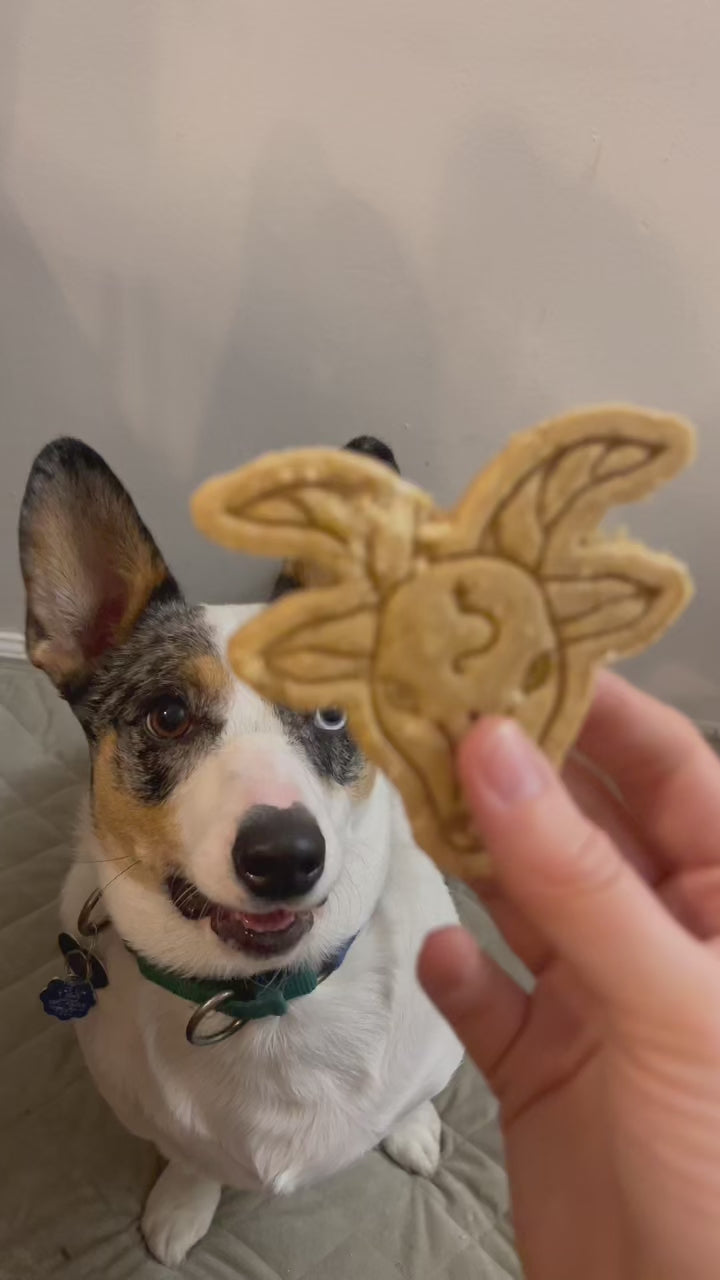 Capricorn Crunch ♑️ / 2 count