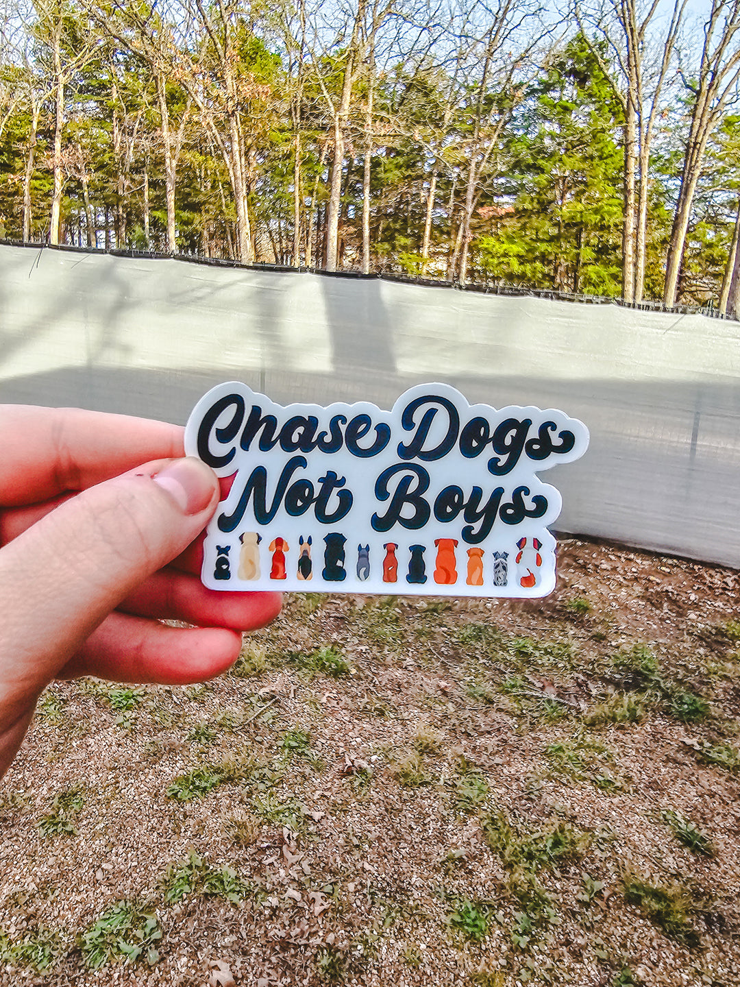 Chase Dogs Not Boys Sticker 🐾