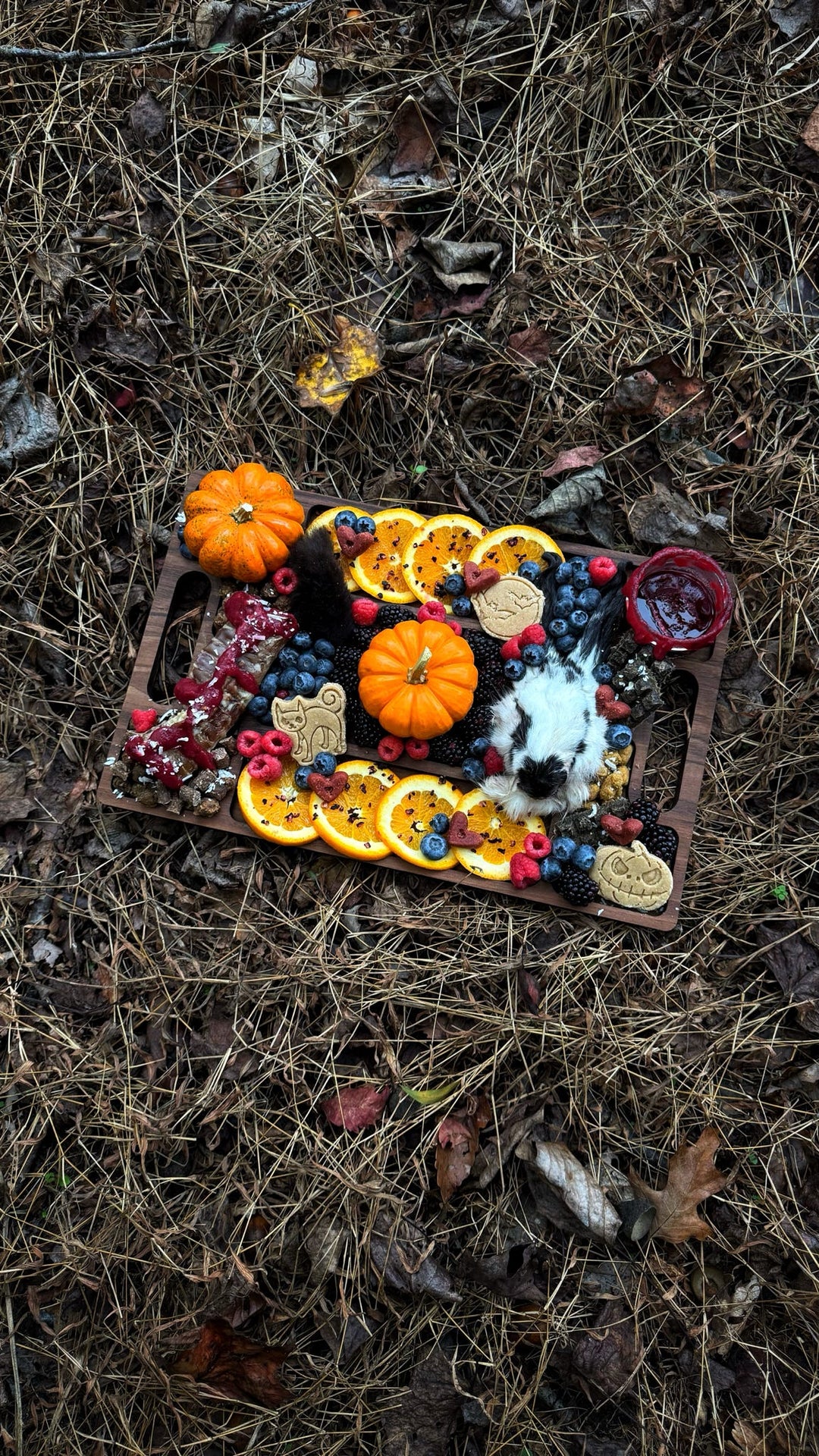 All Hallows Eve 🌙 / 8 count