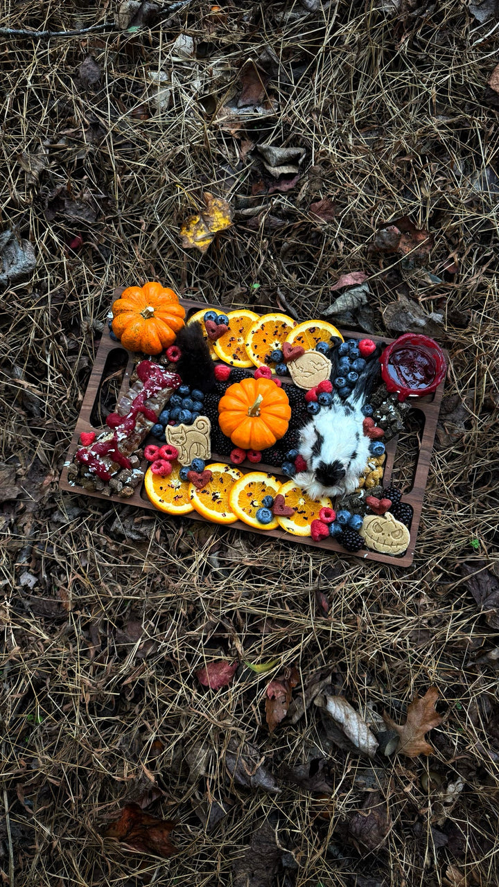 All Hallows Eve 🌙 / 8 count