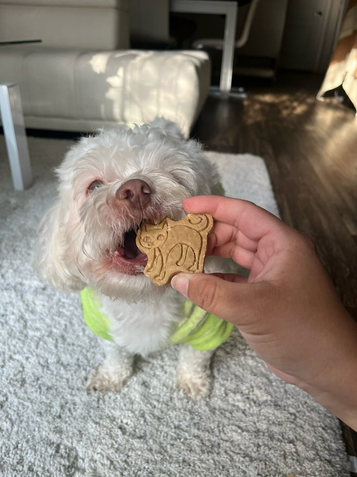 All Hallows Eve 🌙 / 8 count