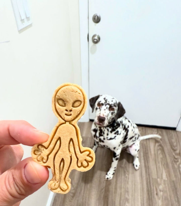 We Come In Peace 👽 / 8 count