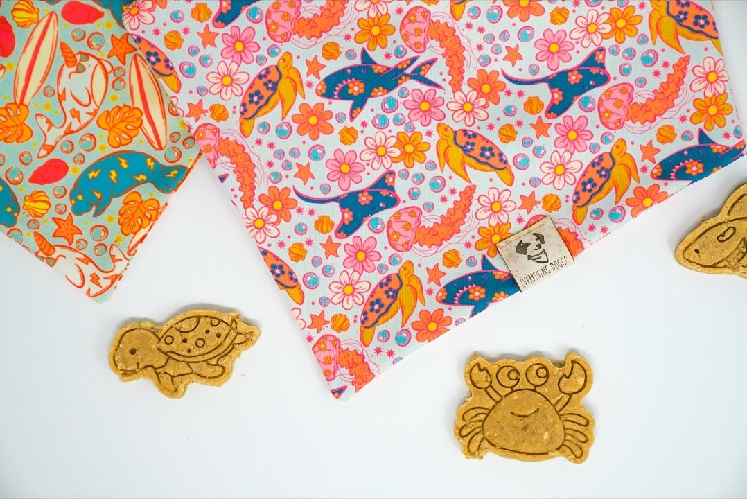 Ocean Fun 🦈 / 8 count