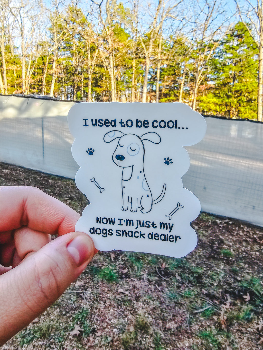 I Used To Be Cool...Sticker 😎