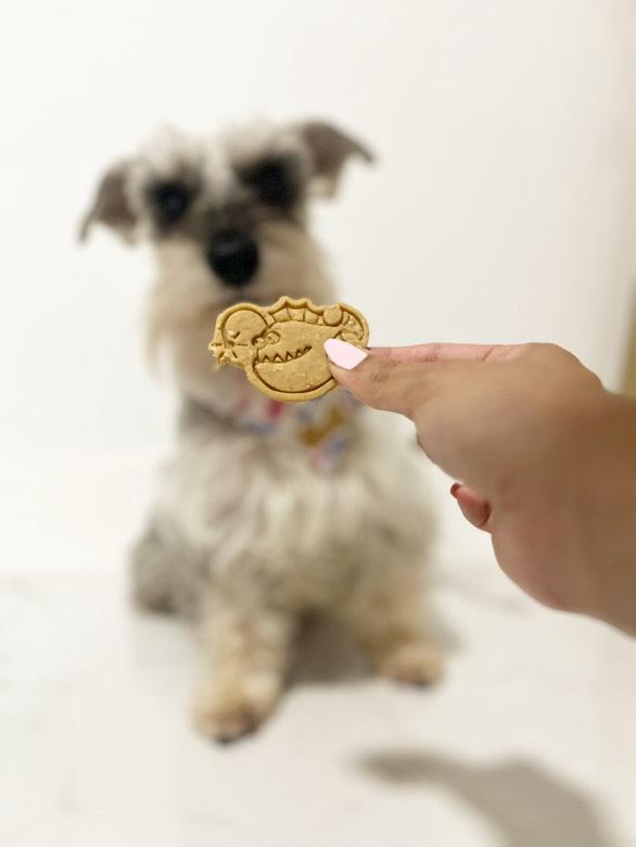 Under The Sea 🌊 / 8 count