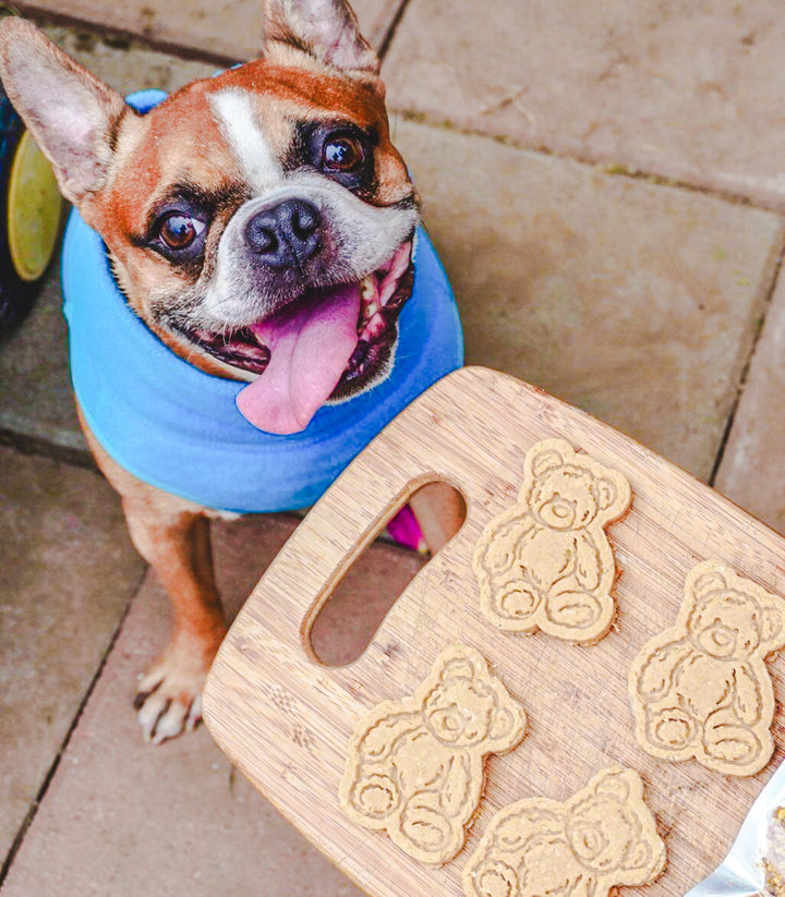 Whiskey's Bears 🧸 / 4 count