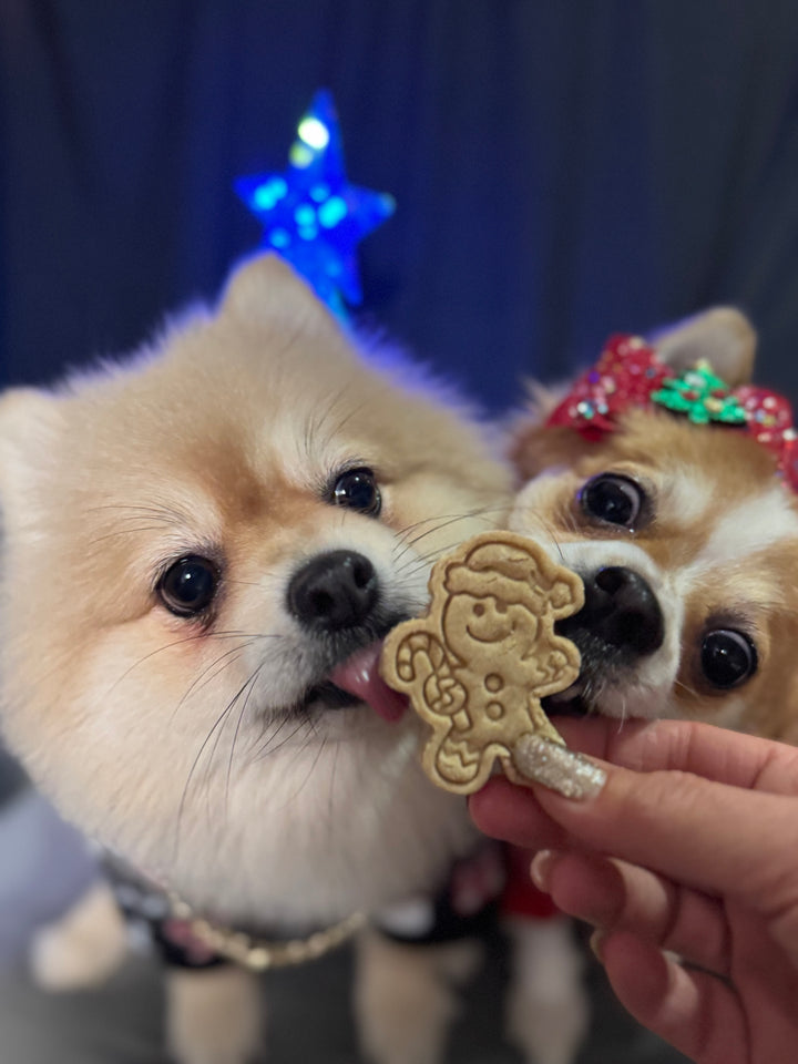 Jolly Gingerbread 🎄 / 10 count