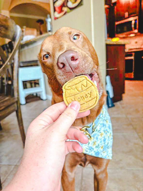 Bee Happy 🐝 / 8 count