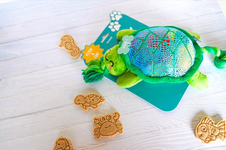 Ocean Fun 🦈 / 8 count