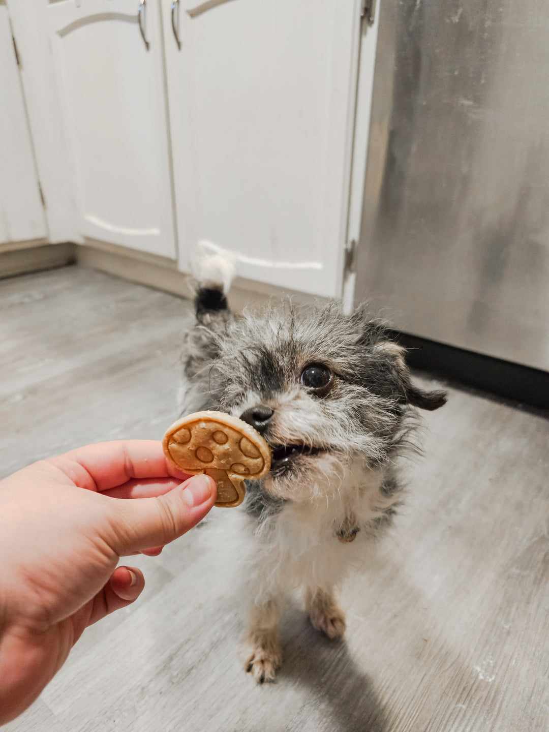 Farm Fresh Produce 🥕 / 8 count