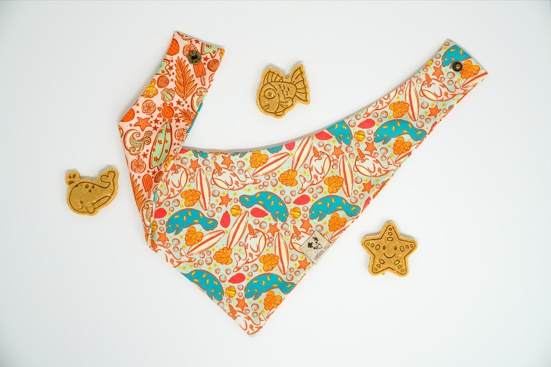 Ocean Fun 🦈 / 8 count