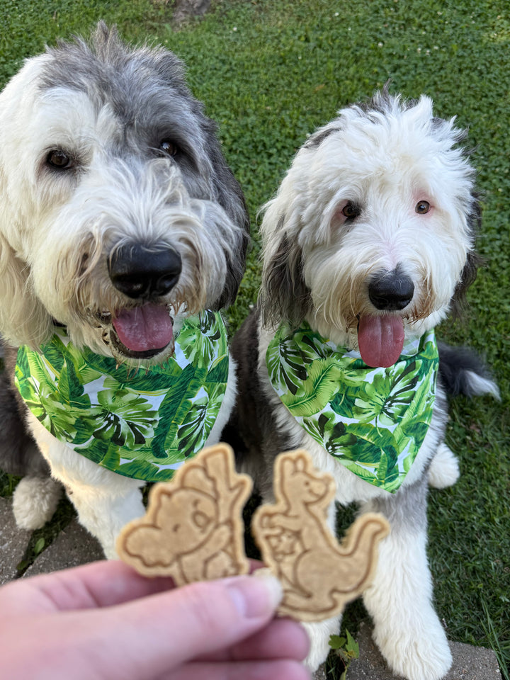 At The Zoo 🦏 / 8 count