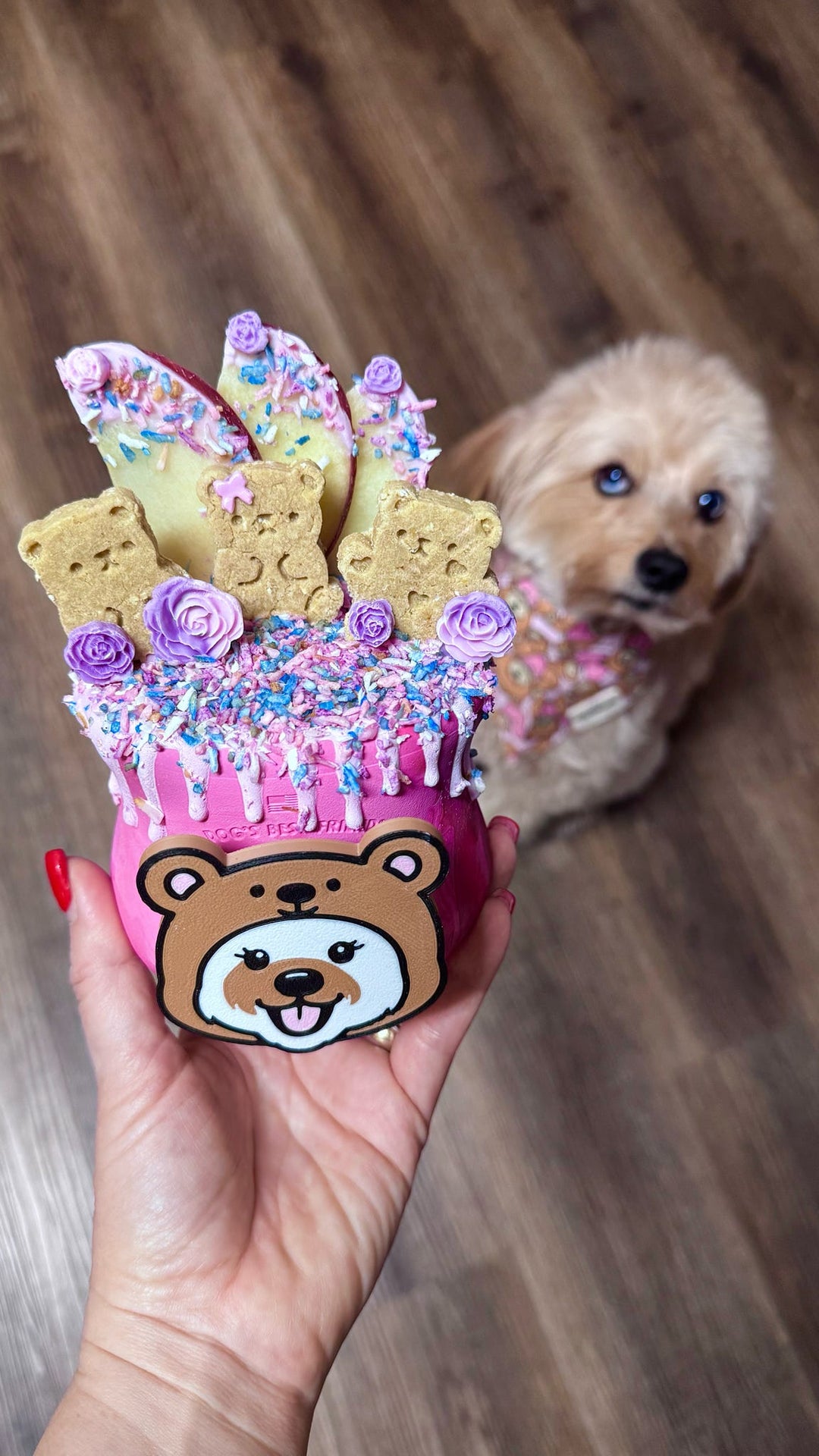 Beary Cute 🐻 / 6 count