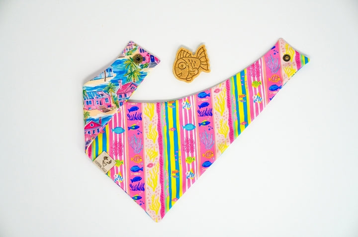 Ocean Fun 🦈 / 8 count