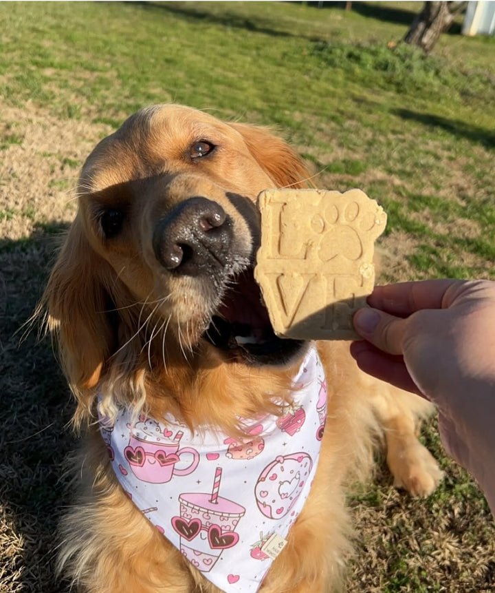 Love Unleashed 🐾 / 4 count