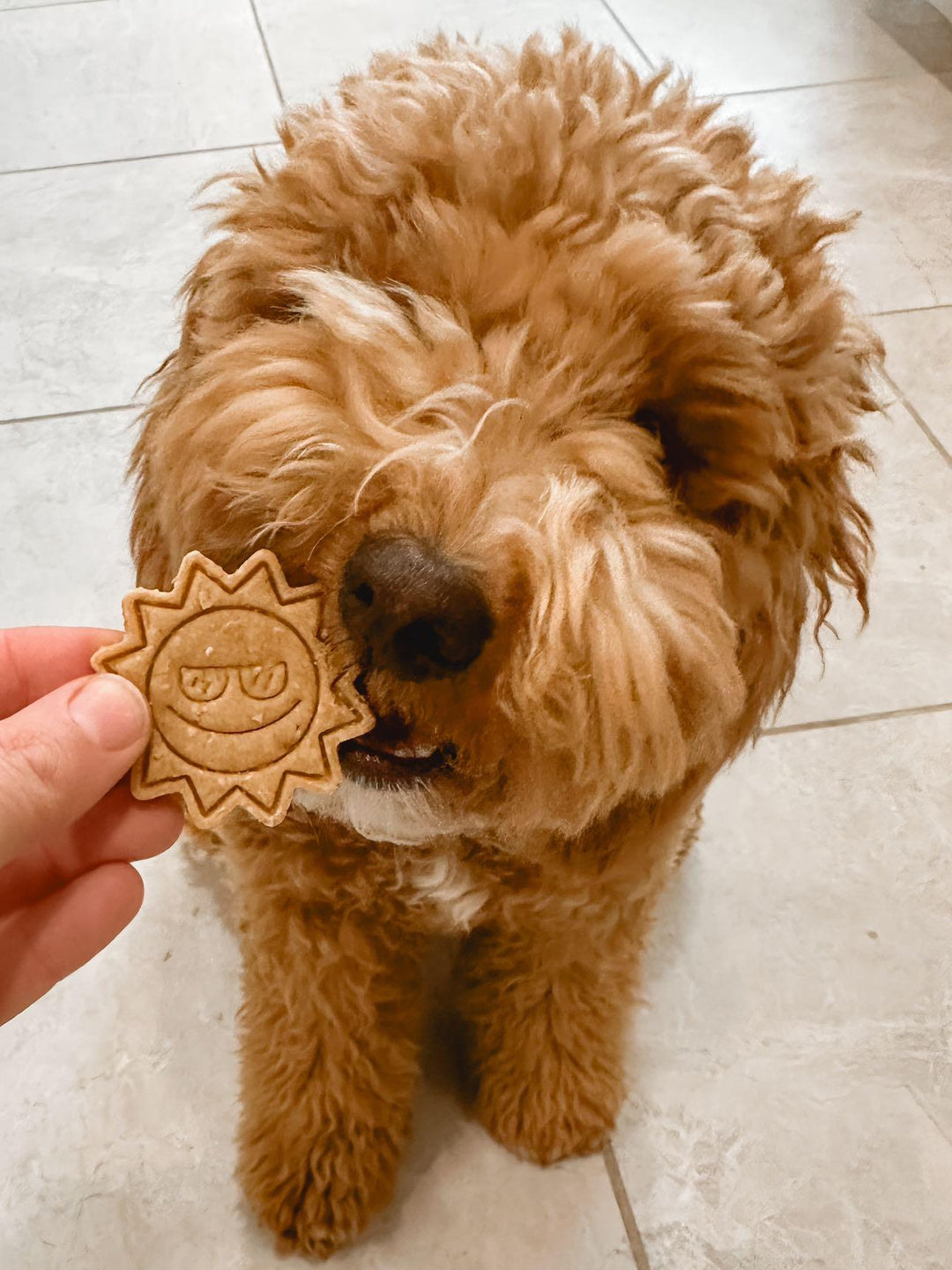 Summer Breeze 🌞 / 8 count