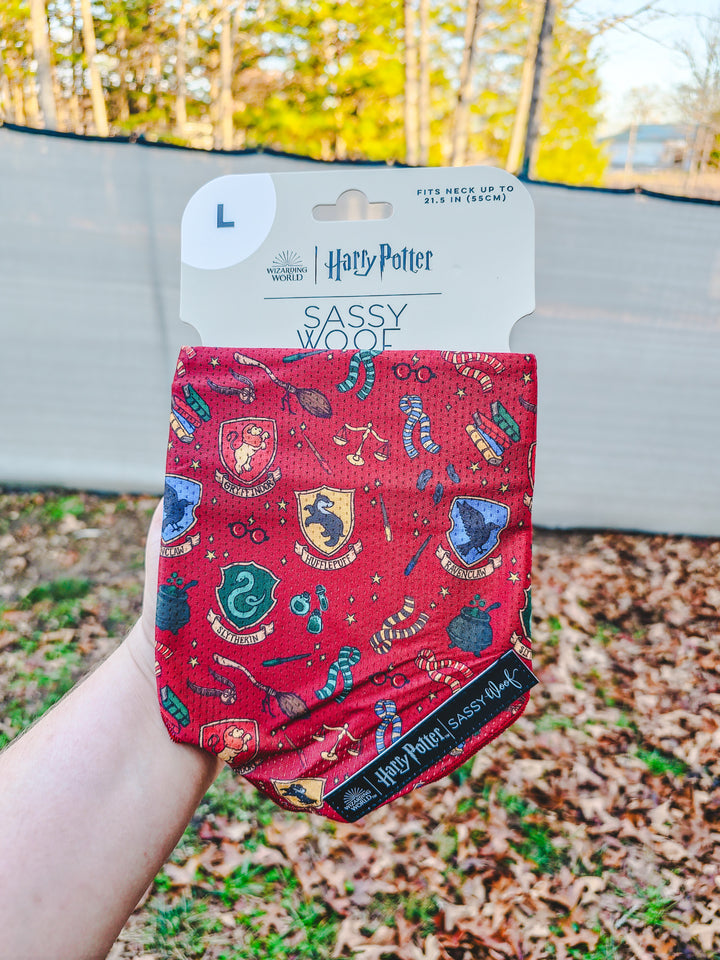 Sassy Woof - Harry Pawter Collection Bandana