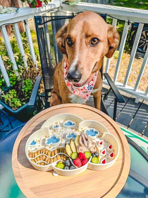 Bee Pollen 🐝 / 3oz