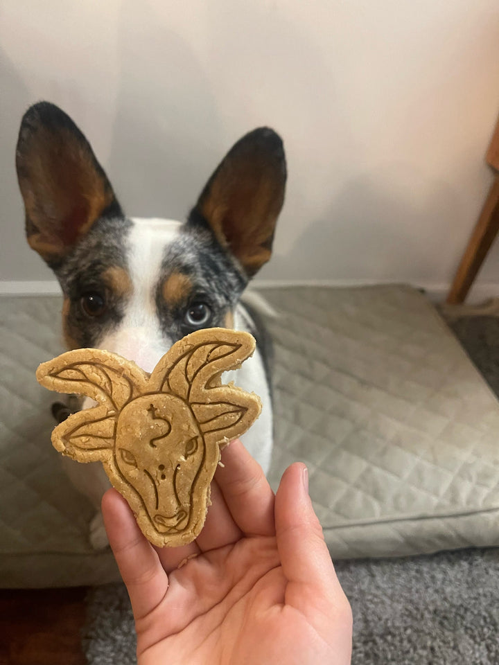 Capricorn Crunch ♑️ / 2 count