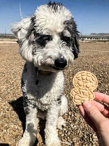 Comic Book 🦸‍♂️ / 8 count