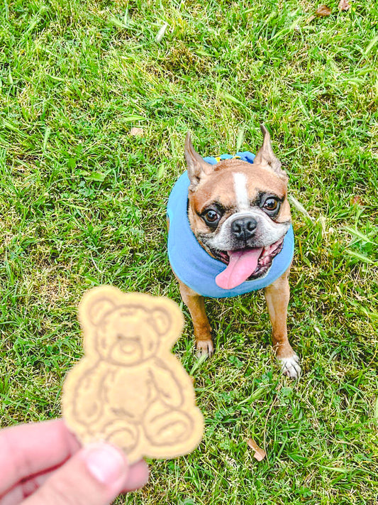 Whiskey's Bears / 4 count