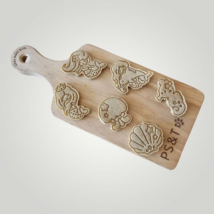 Mermazing 🧜‍♀️ / 6 count