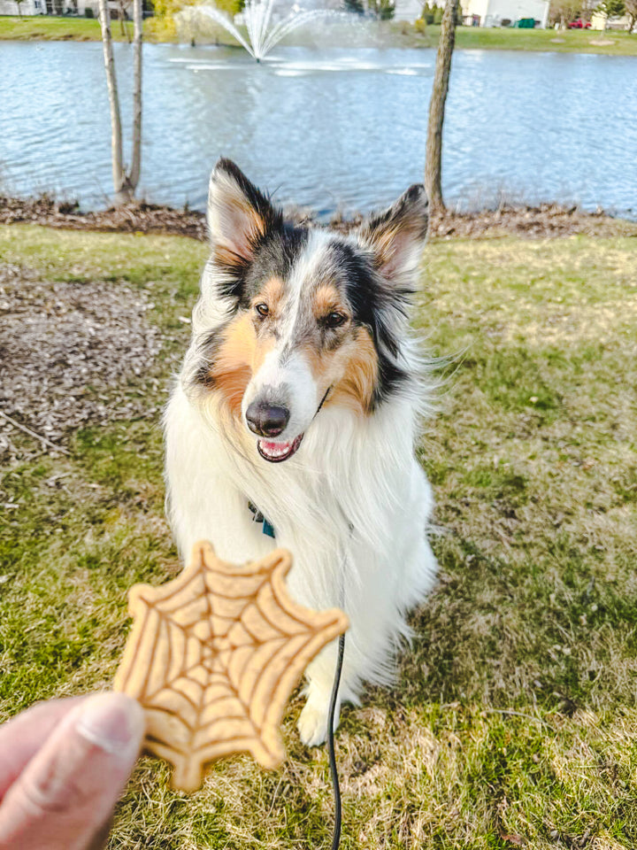 Bree's Web 🕸 / 4 count