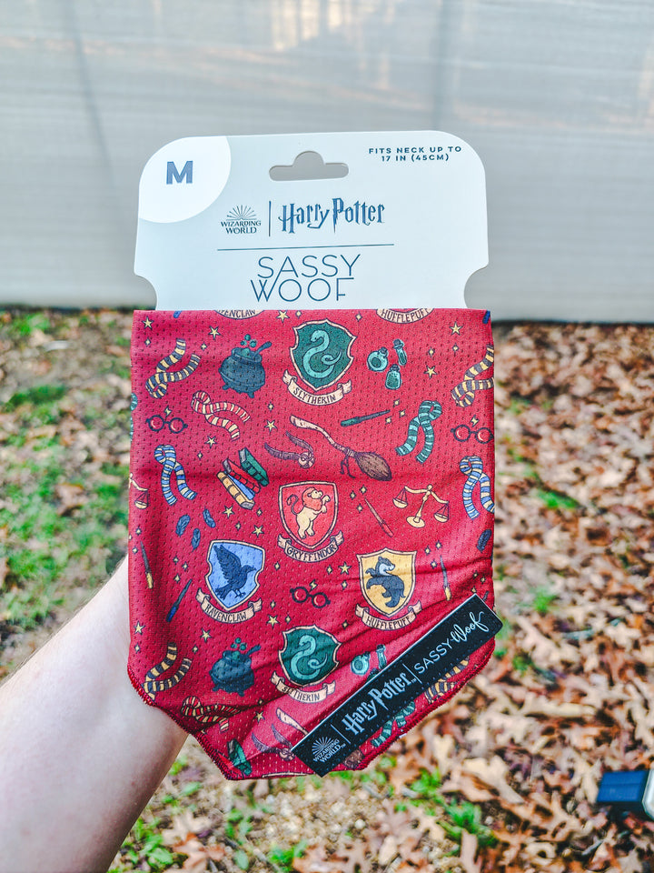 Sassy Woof - Harry Pawter Collection Bandana