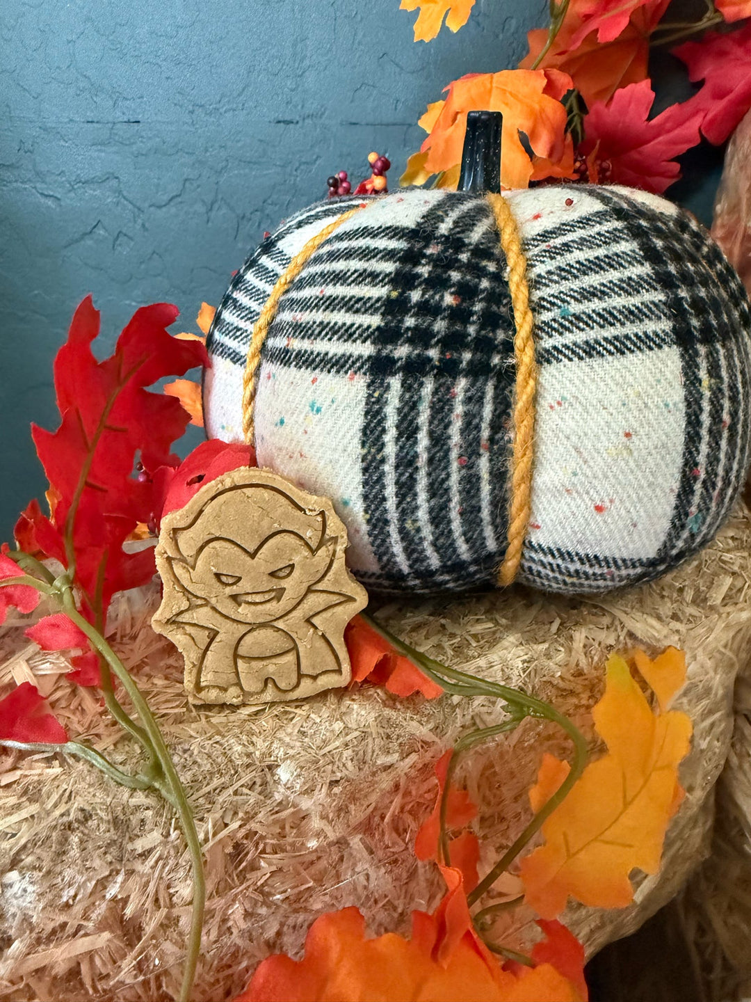 I Want To Suck Your Blood 🧛‍♂️ / 10 count