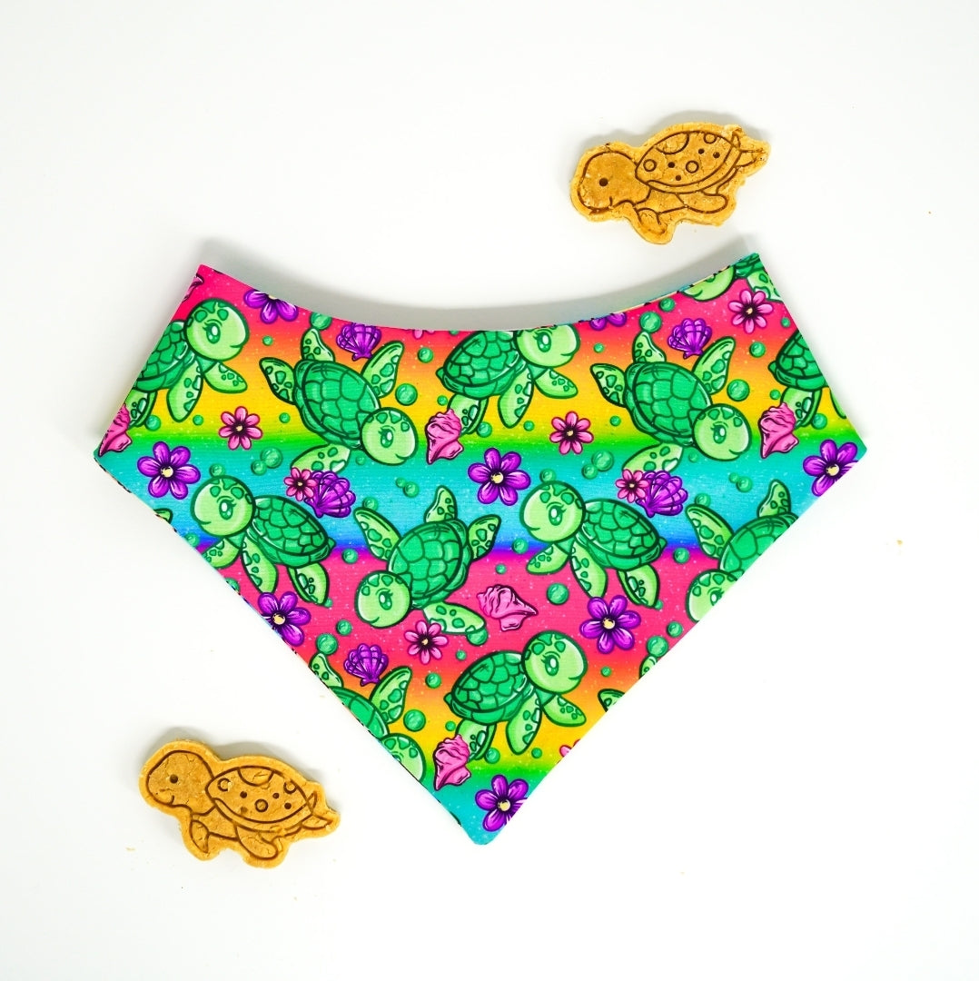 Ocean Fun / 8 count