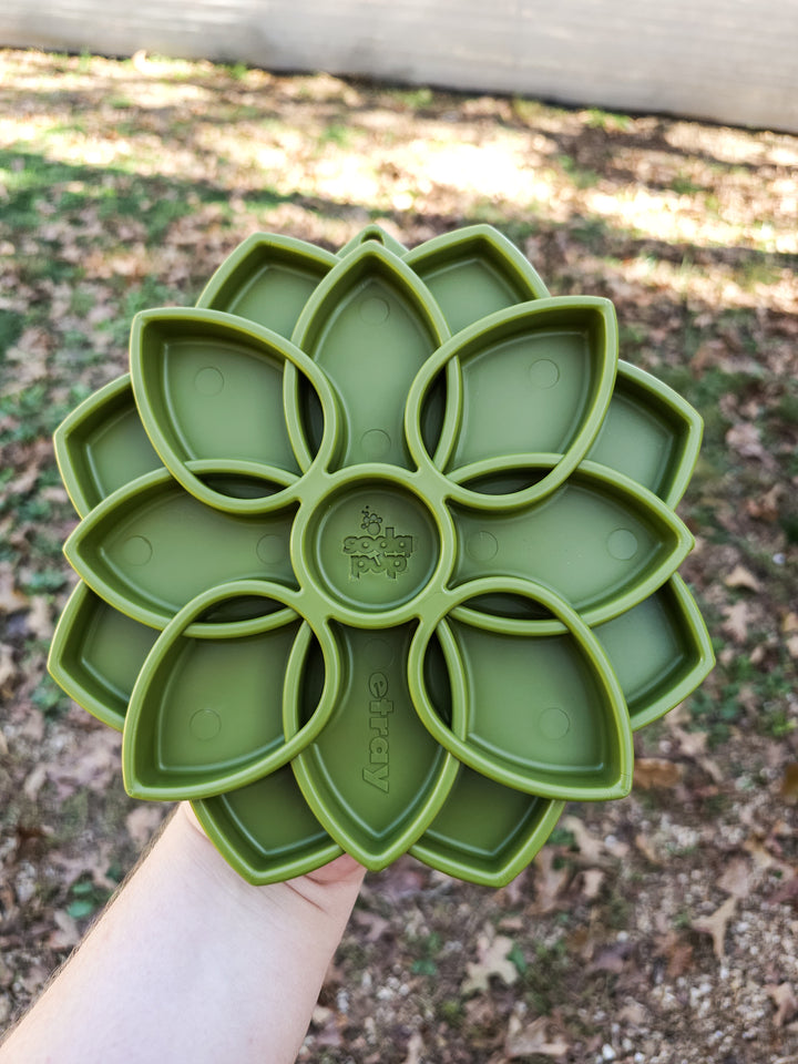 SodaPup - Mandala Design Etray Enrichment 🌸 / Choose Your Color