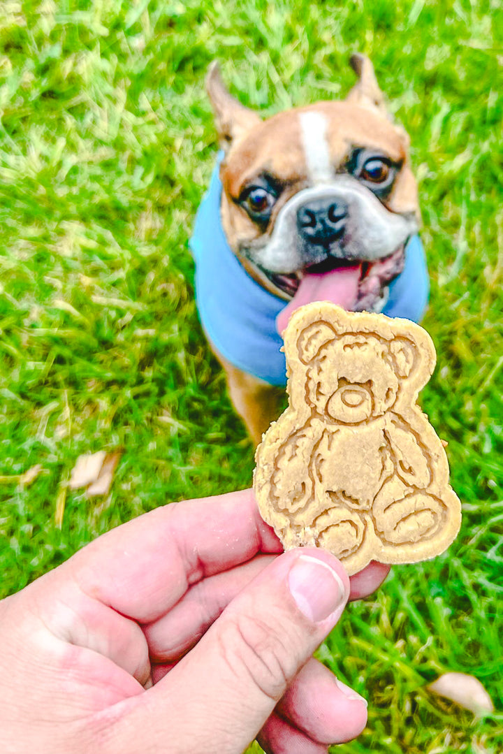 Whiskey's Bears 🧸 / 4 count