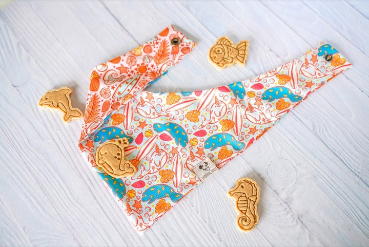 Ocean Fun 🦈 / 8 count