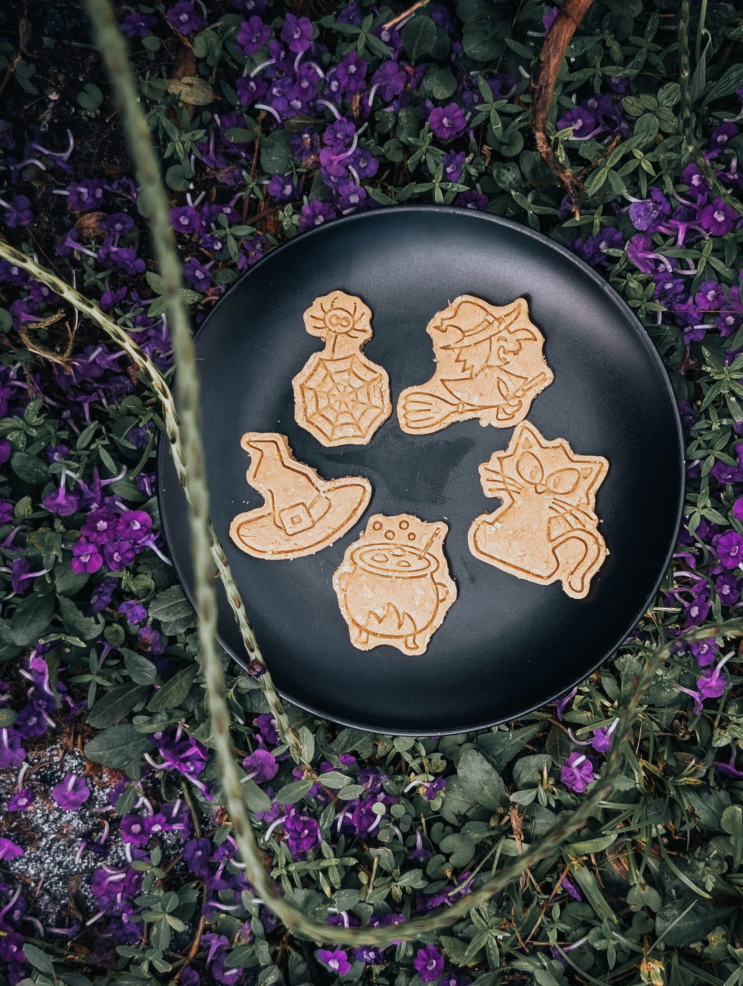 Bewitched 🧹 / 8 count