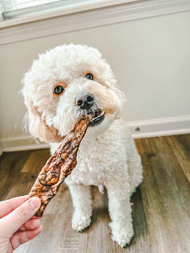 Single Ingredient Treats, Chews, & Such