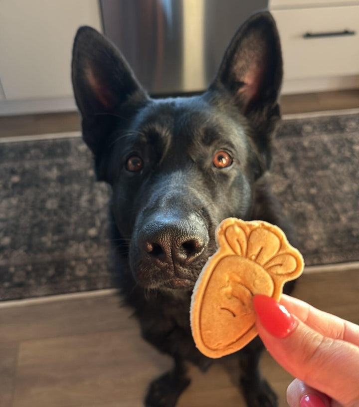 Farm Fresh Produce 🥕 / 8 count