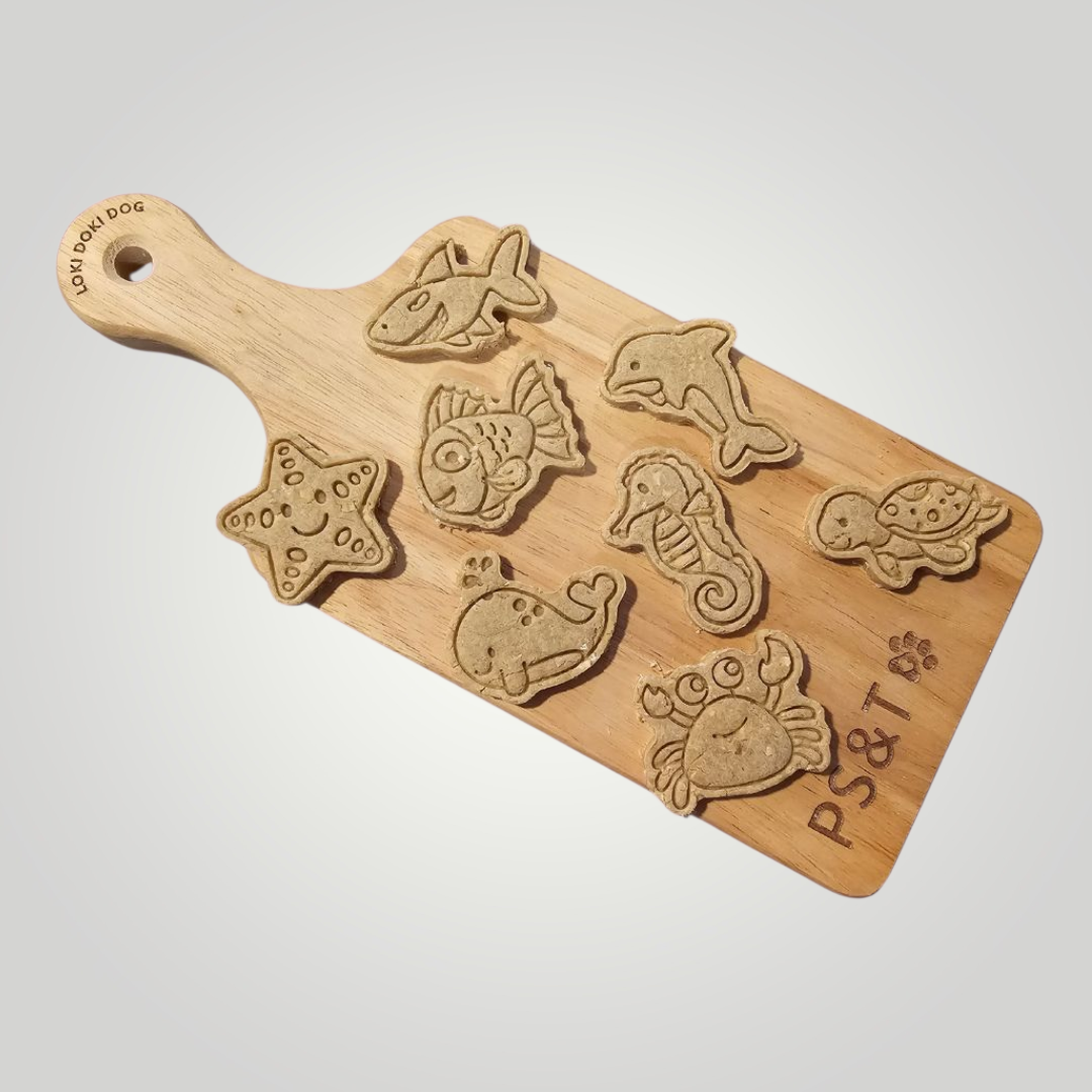 Ocean Fun 🦈 / 8 count