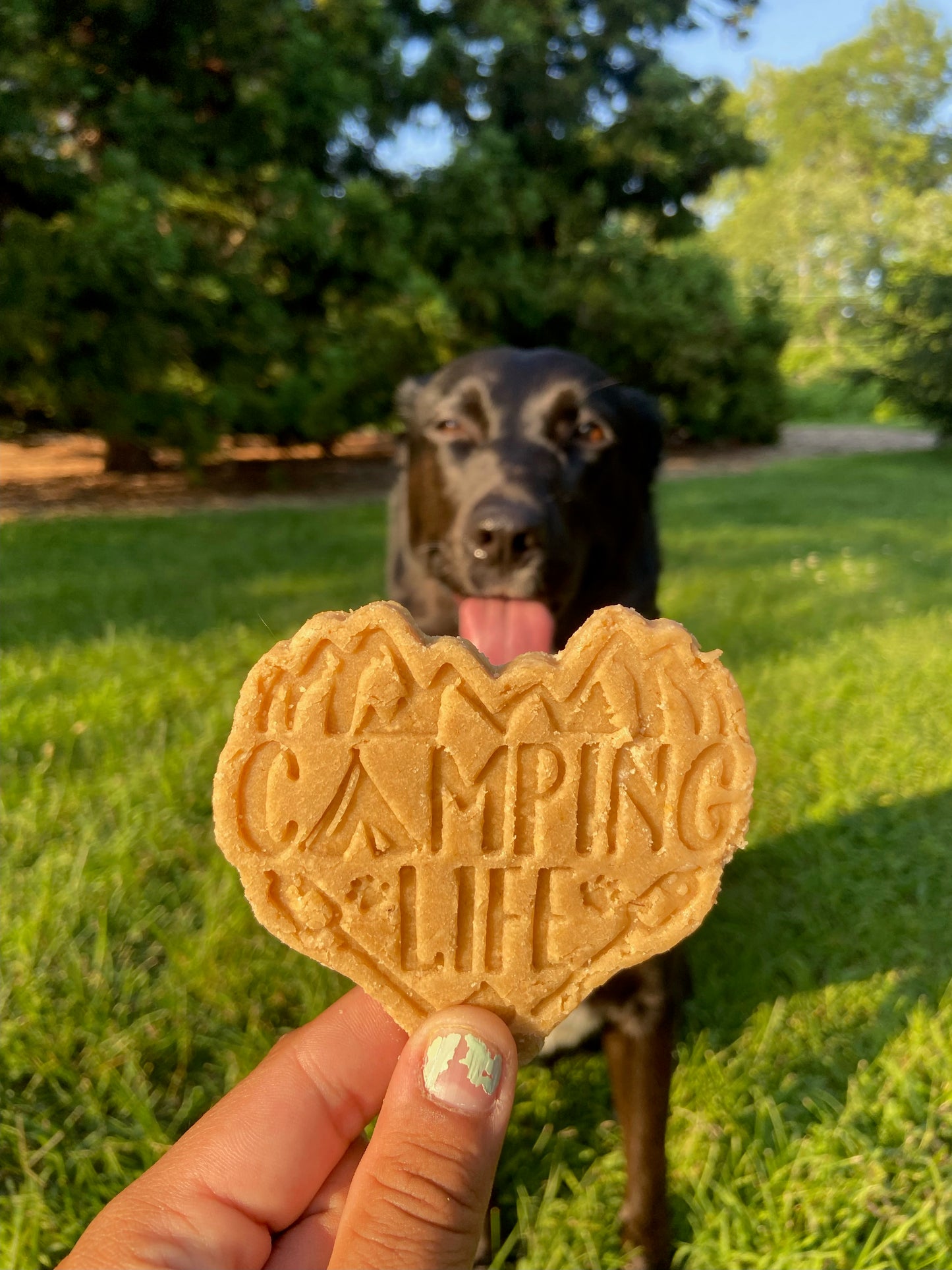 Let's Camp / 4 count