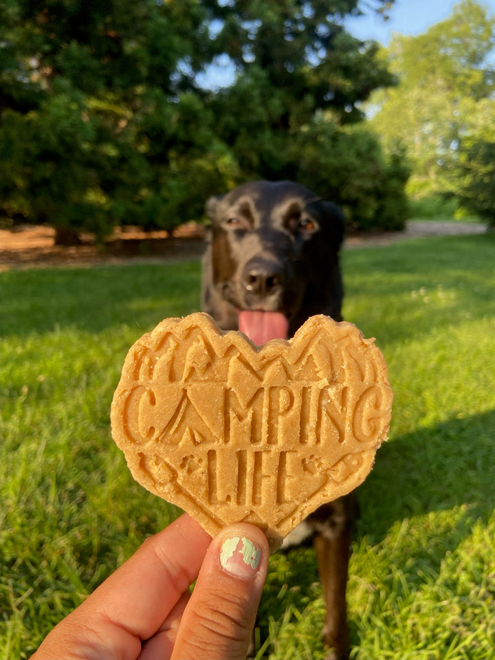 Let's Camp 🏕 / 4 count