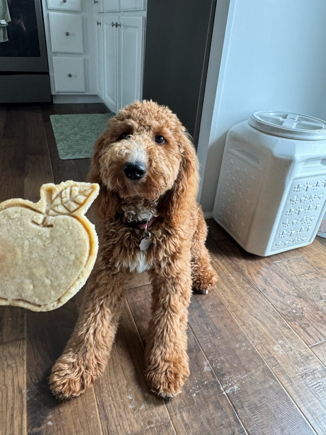 Puptastic Produce 🍓 / 8 count