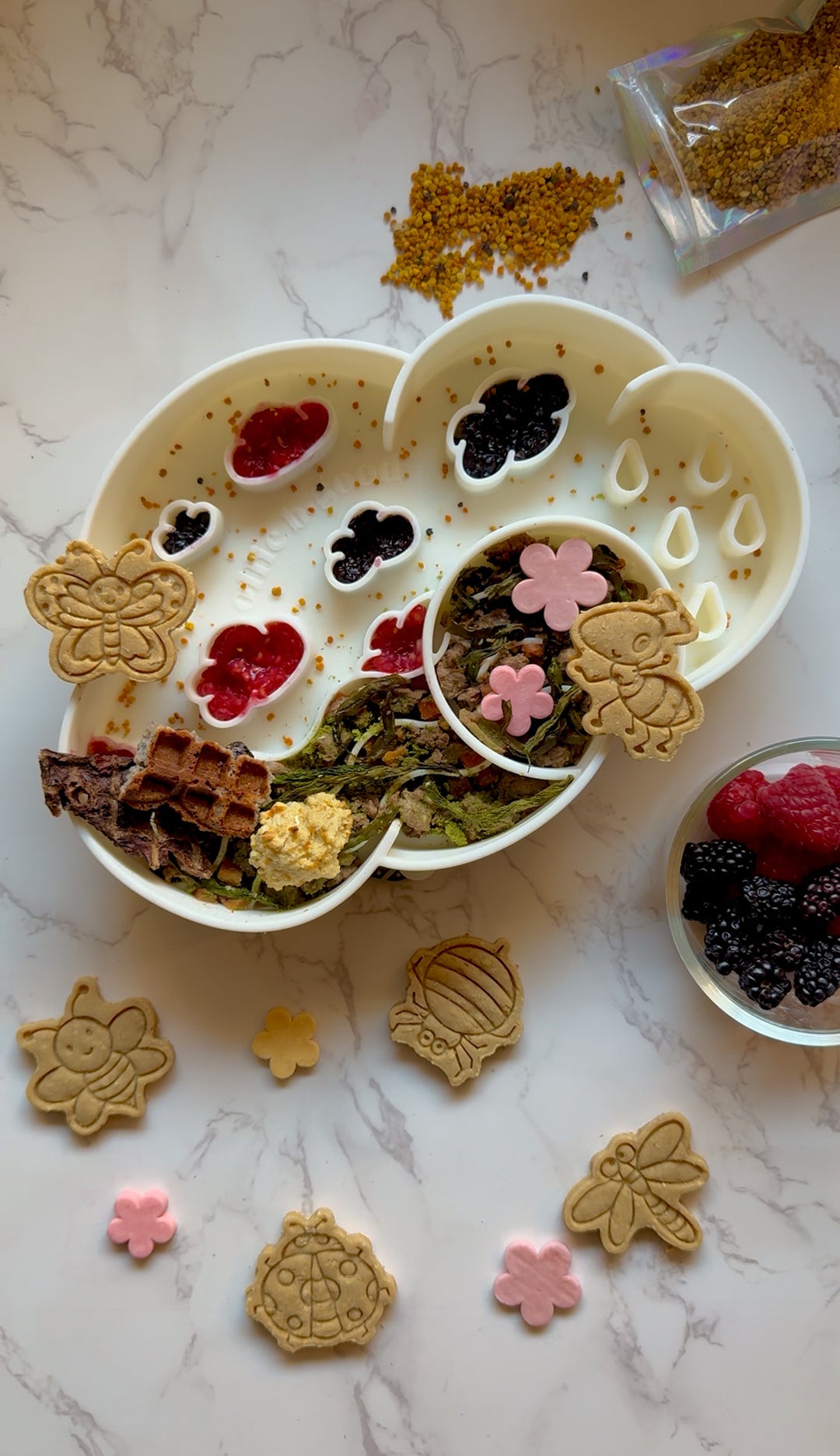 Bugs Life 🐛 / 8 count