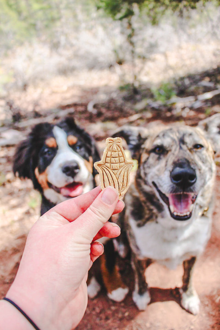 Farm Fresh Produce 🥕 / 8 count